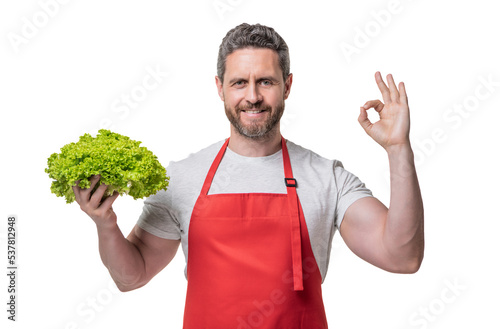man in apron with lettuce vegetable isolated on white. ok