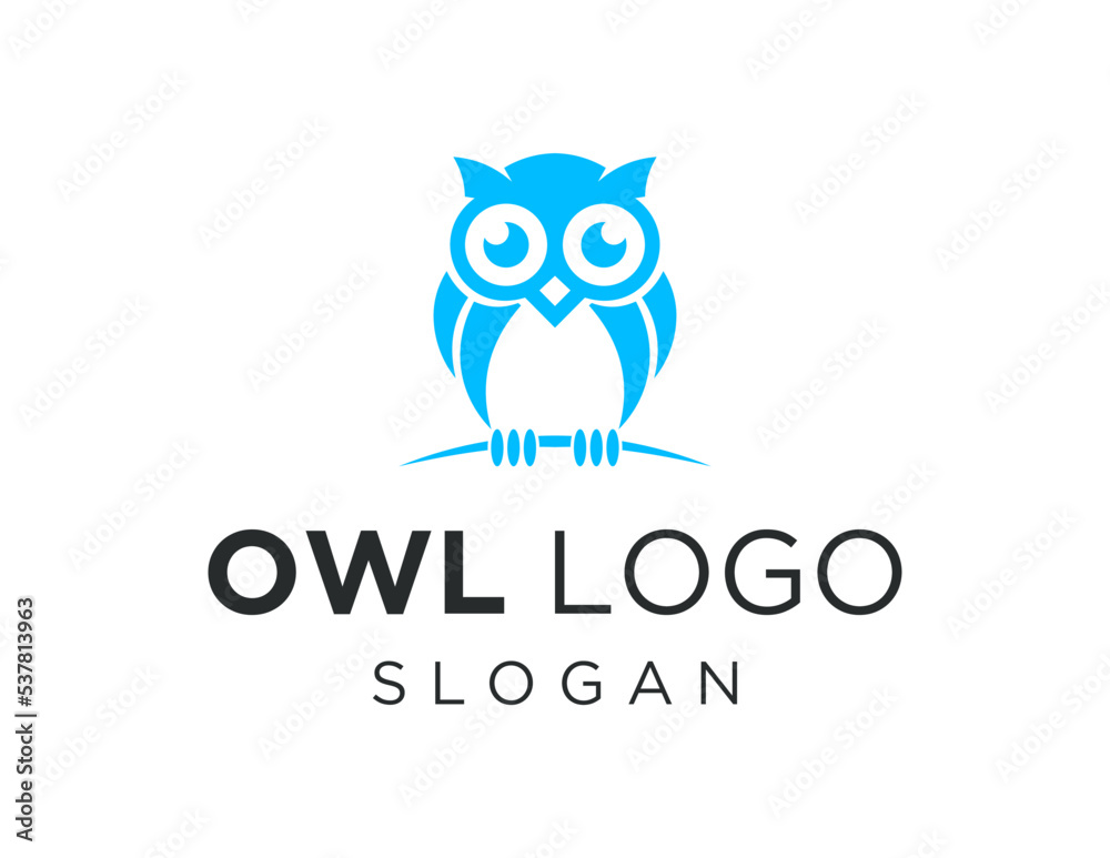 Logo about owl on white background. created using the CorelDraw application.