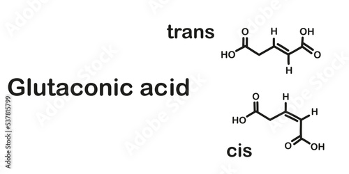 Glutaconic acid. Chemical structure of glutaconic acid. Vector illustration