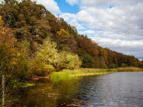 Photo of an autumn landscape. Shore, river, trees