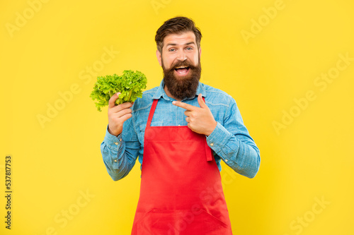Happy man greengrocer in apron pointing finger at fresh leaf lettuce yellow background, shopkeeper