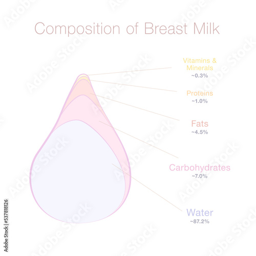 Composition of human breast milk - water, carbohydrates, fats, proteins, vitamins and minerals in a drop of mothers milk. Infofgraphic with percentage of substances. Vector illustration on white.
