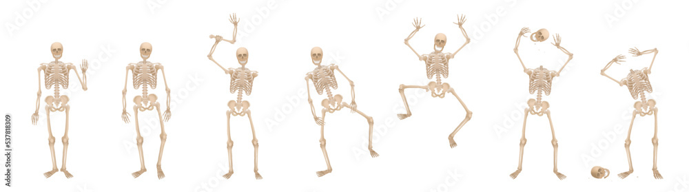 Skeleton - walking, jumping, greeting, scaring, waving, greeting, juggling with the head and being headless – set of creepy, spooky, frightening and funny poses. Vector on white background.
Skeleton - walking, jumping, greeting, scaring, waving, greeting, juggling with the head and being headless – set of creepy, spooky, frightening and funny poses. Vector on white background.