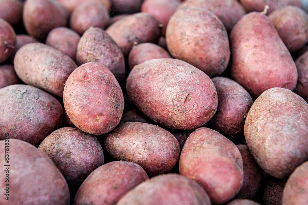 Texture of potatoes with red peel Texture of potatoes with red peel
