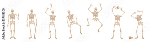 Skeleton - walking, jumping, greeting, scaring, waving, greeting, juggling with the head and being headless – set of creepy, spooky, frightening and funny poses. Vector on white background.
