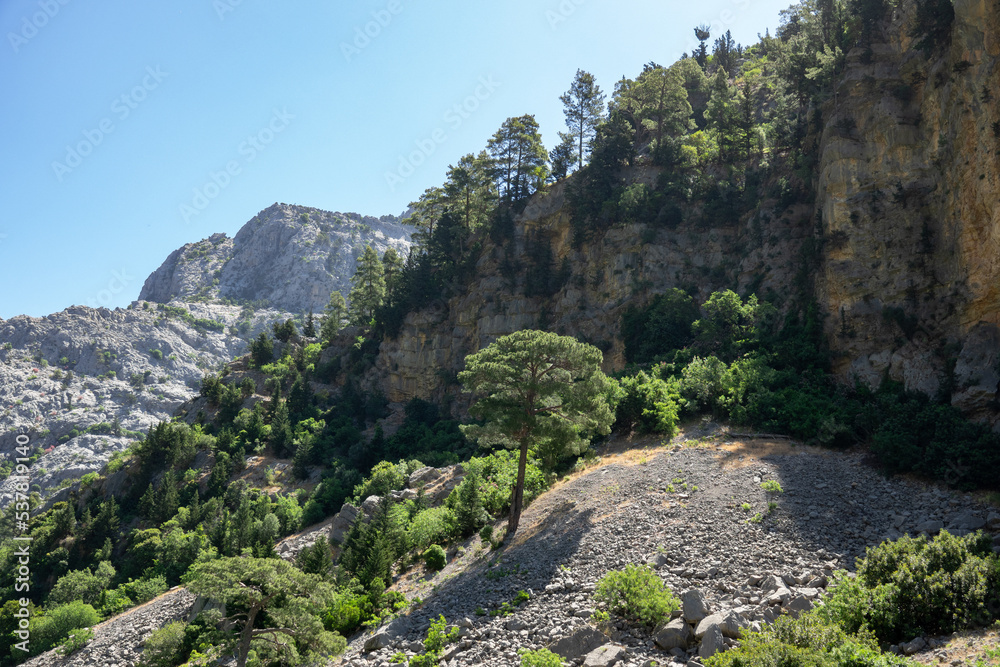 View of the mountain cliffs of the Green Canyon. Landscape of Green canyon, Manavgat, Antalya, Turkey