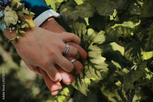 Alliances Mariage vignes