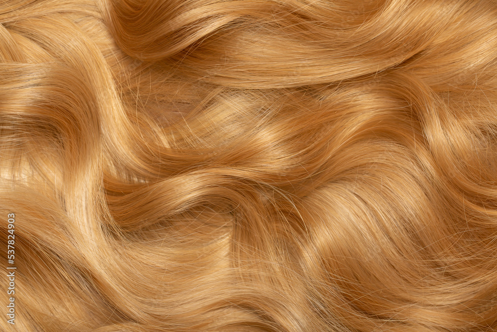 Blond hair close-up as a background. Women's long blonde hair. Beautifully styled wavy shiny curls. Hair coloring. Hairdressing procedures, extension. Blond hair close-up as a background. Women's long blonde hair. Beautifully styled wavy shiny curls. Hair coloring. Hairdressing procedures, extension.