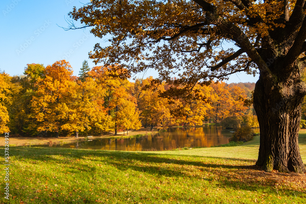 Buntes Herbstlaub um den See im Schlosspark von Bad Muskau, Oberlausitz, Sachsen, Deutschland