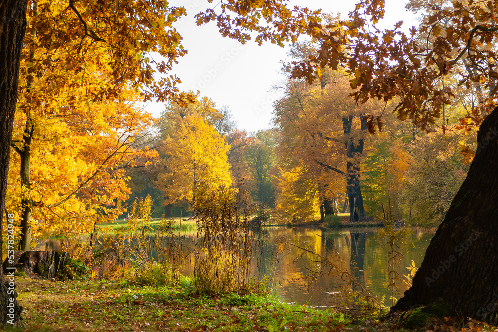 Bunte Herbstlandschaft in einem idyllischen Park mit Teich und alten Bäumen