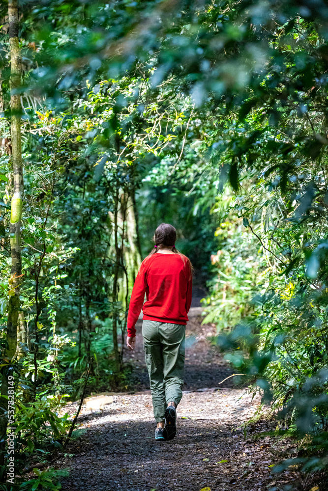Obraz premium a beautiful girl walks through a magical tropical rainforest in lamington national park, near gold coast in queensland, australia; hiking in the jungle; australian rainforest