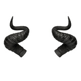 3D rendering of large, black horns on a white background.