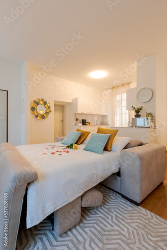 Elegant living room furnished in modern apartment with a sofa bed. There are large pillows and red rose petals photo