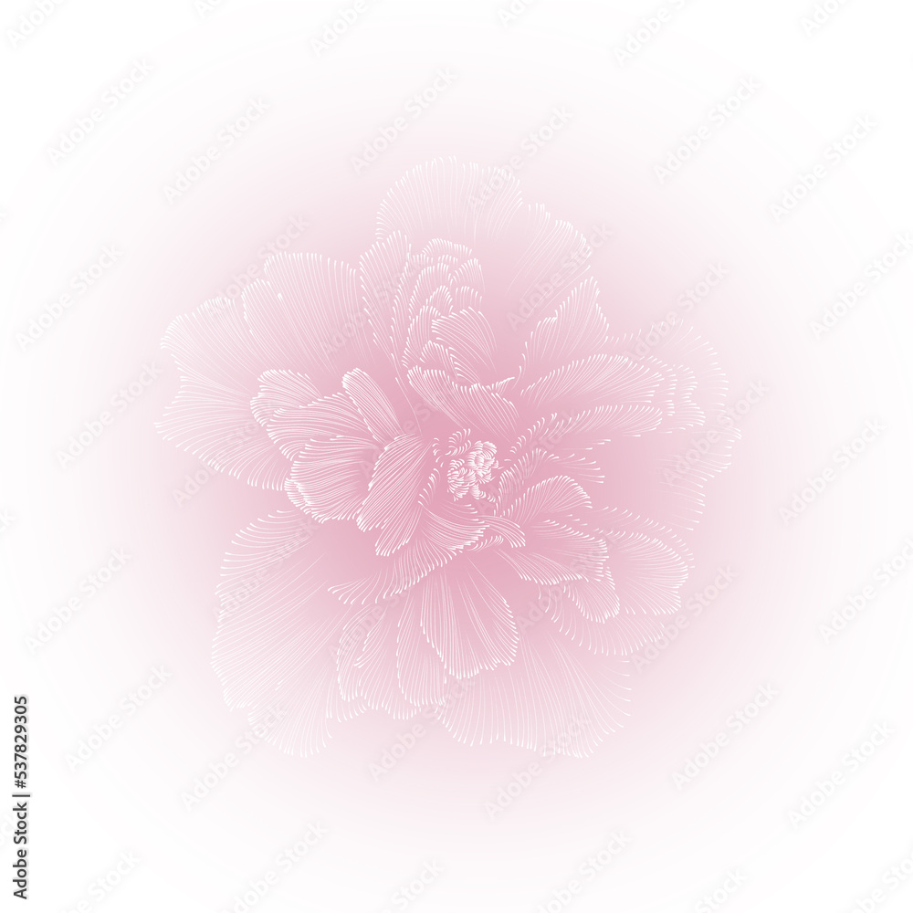 Cotton hibiscus  illustration.Manual composition.Big Set watercolor elements，Design for textile, wallpapers，Element for design,Greeting card