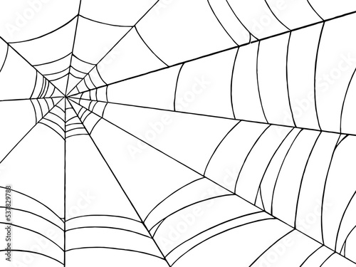 Halloween party background with spiderwebs isolated png or transparent texture,blank space for text,element template for poster,brochures, online advertising,vector illustration