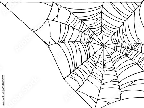 Halloween party background with spiderwebs isolated png or transparent texture,blank space for text,element template for poster,brochures, online advertising,vector illustration