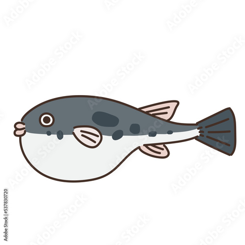 魚　魚介類　水産　海　食べ物　ふぐ