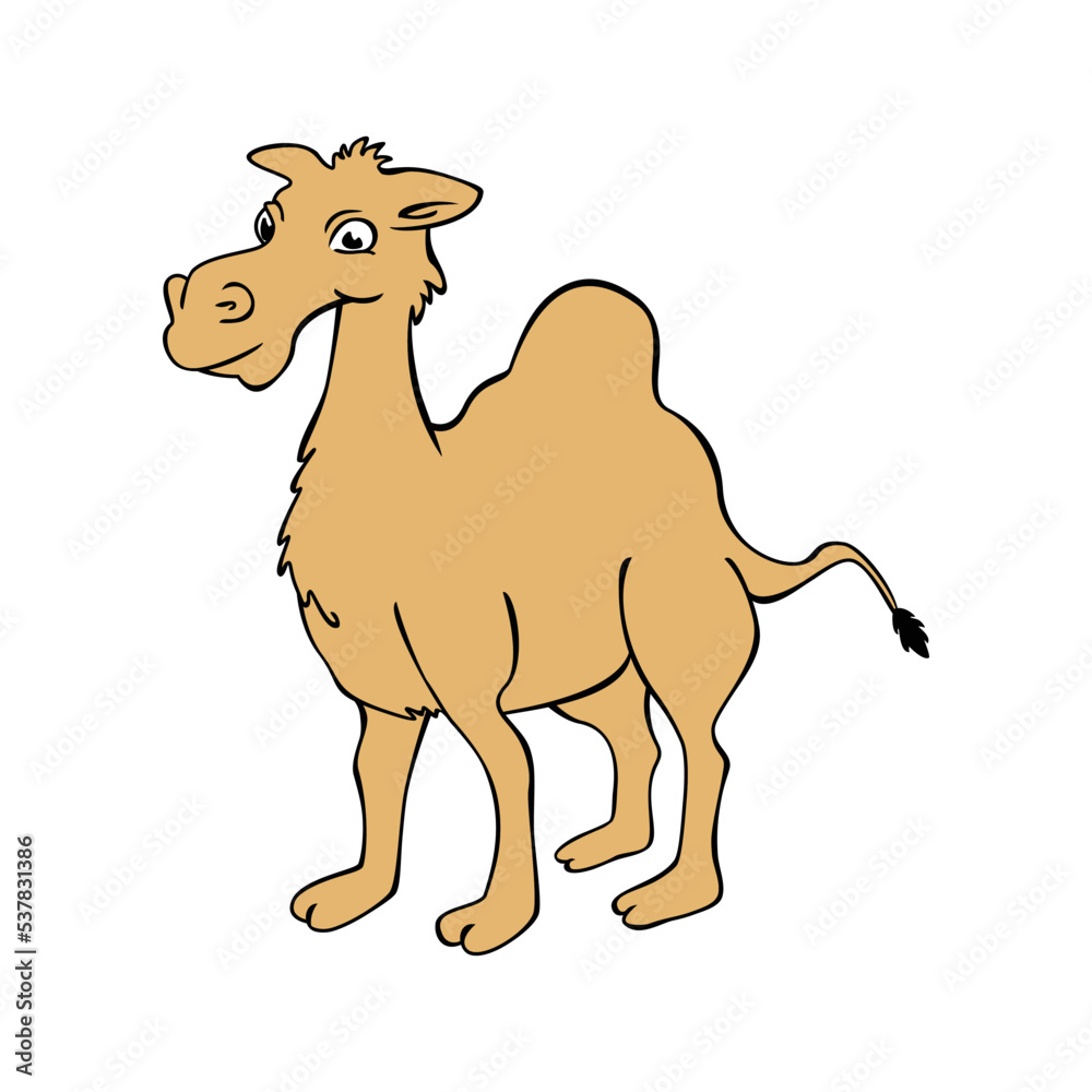 Naklejka premium camel cartoon design illustration. desert animal icon, sign and symbol.