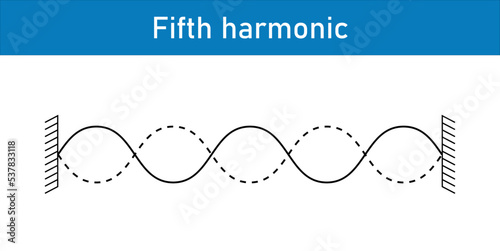 harmonics of vibrations of a stretched string fixed at both ends. Scientific vector illustration isolated on white background.