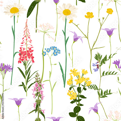 seamless pattern with field flowers, vector drawing wild plants at white background, flowering meadow , hand drawn botanical illustration