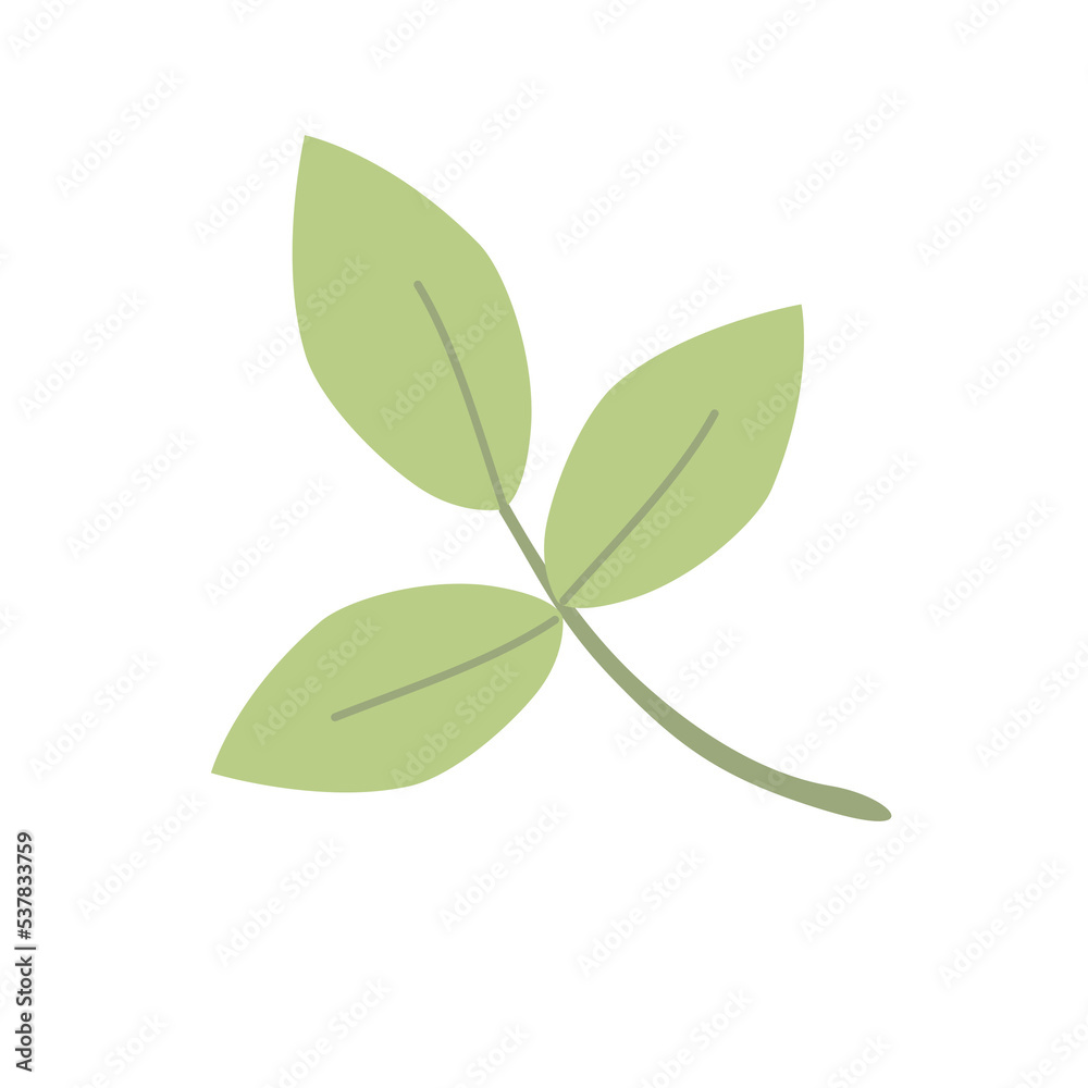Green leaf isolated on white background. illustration. PNG clipart. Green leaf isolated on white background. illustration. PNG clipart.