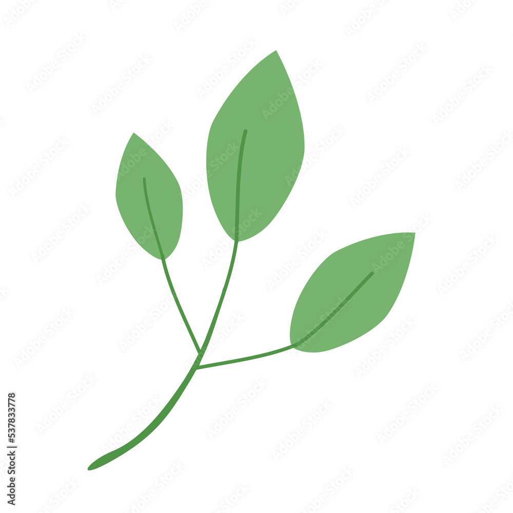 Green leaf isolated on white background. illustration. PNG clipart. Green leaf isolated on white background. illustration. PNG clipart.