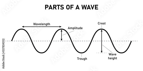The basic properties of waves. parts of a wave. Scientific vector illustration isolated on white background.