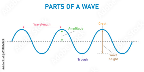 The basic properties of waves. parts of a wave. Scientific vector illustration isolated on white background.
