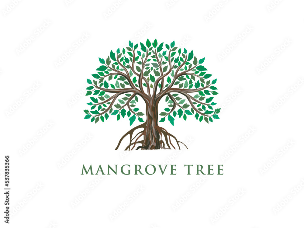Obraz premium gorgeous mangrove tree