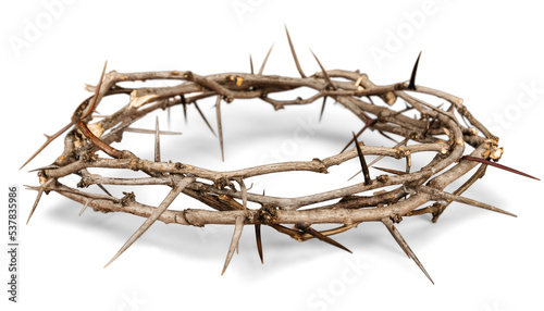 Fotografering Crown of Thorns
