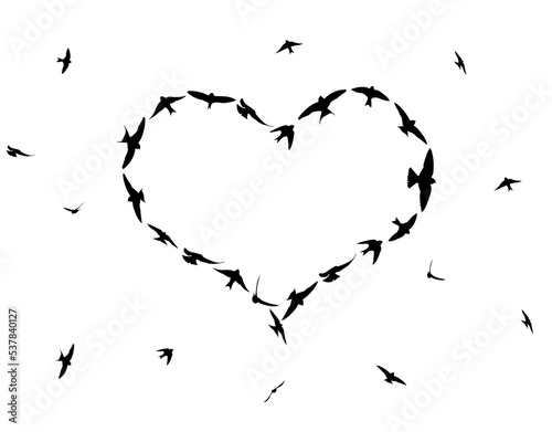 Flock of birds flying in the heart formation  isolated on transparent background, PNG.