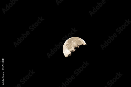the moonset over the mountain with tree silhouettes in the foreground
