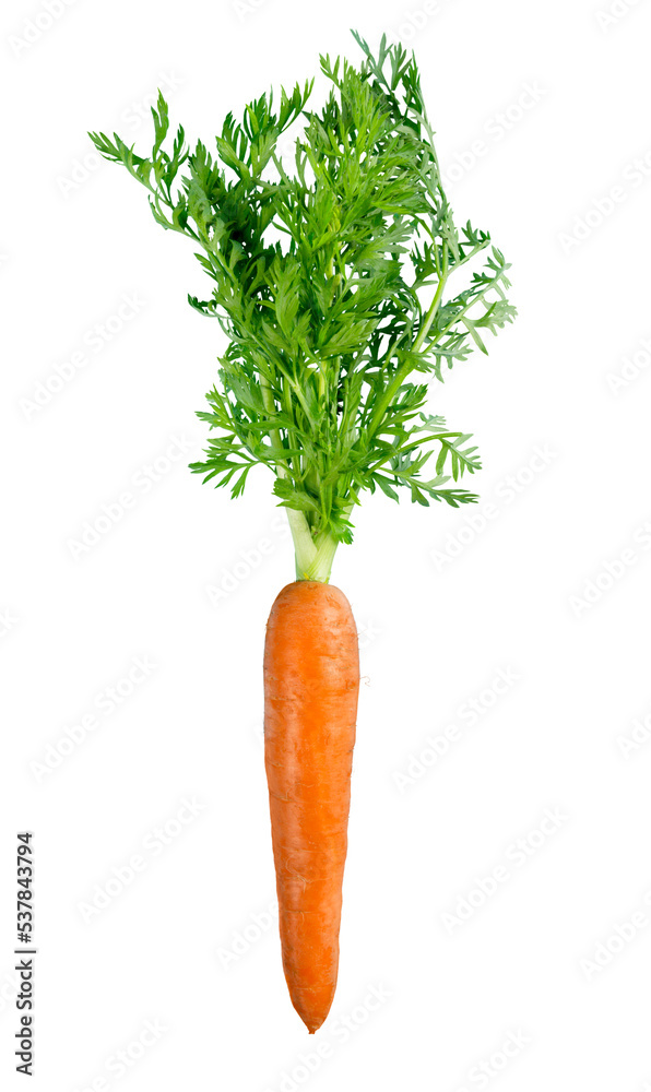 Obraz na płótnie Carrots isolated on white background w salonie