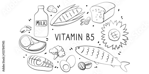Vitamin B5 Pantothenic acid. Groups of healthy products containing vitamins. Set of fruits, vegetables, meats, fish and dairy