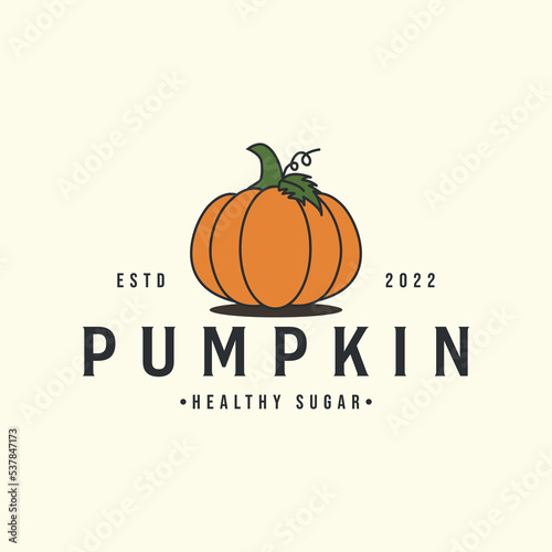 pumpkin logo vintage color vector icon template illustration design