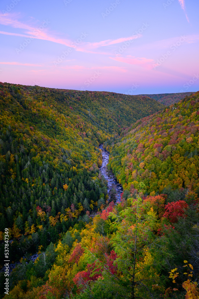 Autumn Color at Dawn in the Blackwater Canyon