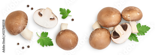 Royal Brown champignon with leaf parsley isolated on white background. Top view. Flat lay