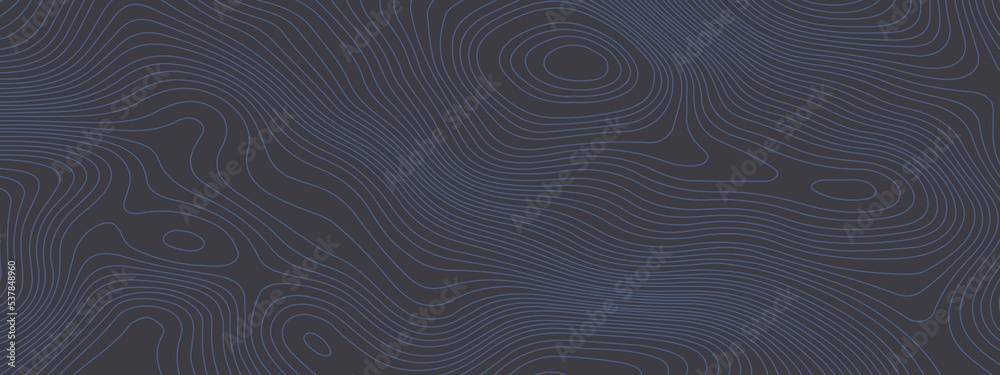 Black and white wavy abstract topographic map contour, lines Pattern background. Topographic map and landscape terrain texture grid. Wavy banner and color geometric form. Vector illustration. Black and white wavy abstract topographic map contour, lines Pattern background. Topographic map and landscape terrain texture grid. Wavy banner and color geometric form. Vector illustration.