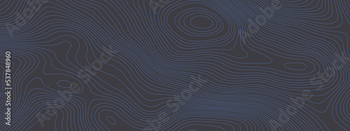 Black and white wavy abstract topographic map contour, lines Pattern background. Topographic map and landscape terrain texture grid. Wavy banner and color geometric form. Vector illustration.