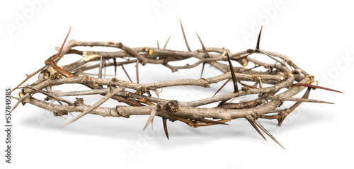 Canvas Print Crown of Thorns