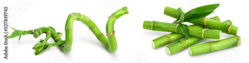 Green bamboo with leaves isolated on white background with full depth of field