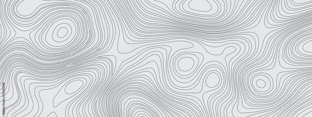 Black and white wavy abstract topographic map contour, lines Pattern background. Topographic map and landscape terrain texture grid. Wavy banner and color geometric form. Vector illustration.