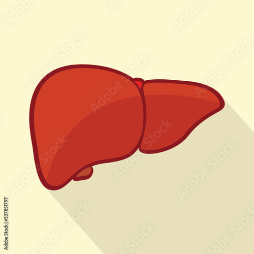 Human heart organs vector 