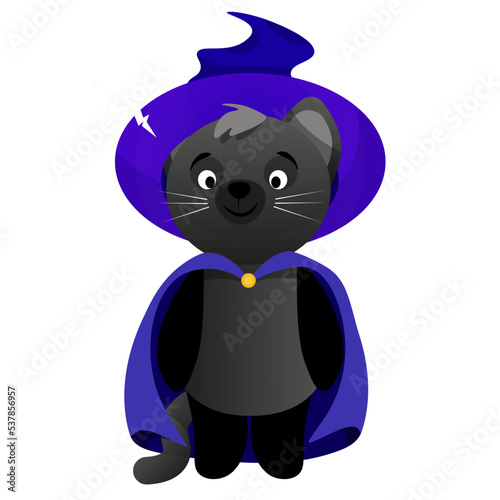 Black cute cat in a purple hat and a purple cape in honor of the Halloween holiday