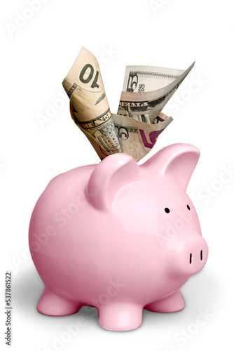 Quadro su tela Pink piggy bank with a dollar banknotes isolated on white background