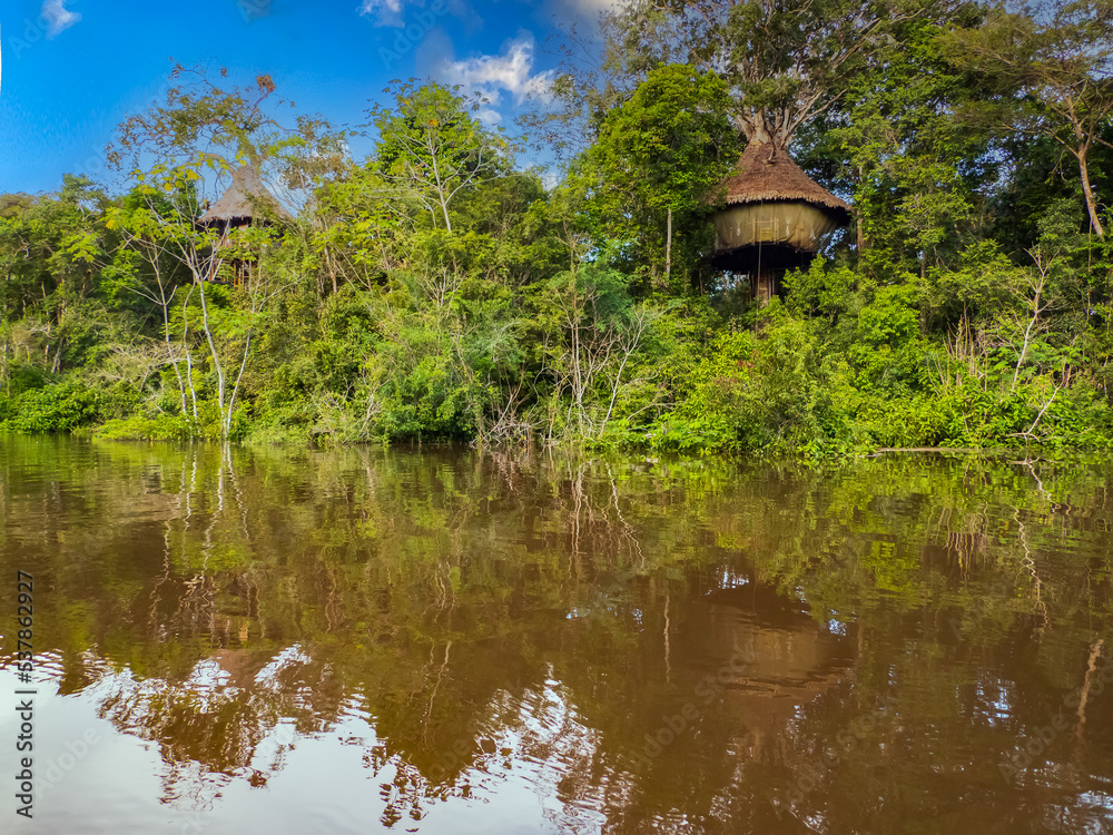 Glamping accommodation in the Amazon rainforest. Wooden treehouse , Amazon Rainforest, Amazonia, Pacaya Samiria National Reserve, Peru, South America. Glamping accommodation in the Amazon rainforest. Wooden treehouse , Amazon Rainforest, Amazonia, Pacaya Samiria National Reserve, Peru, South America.