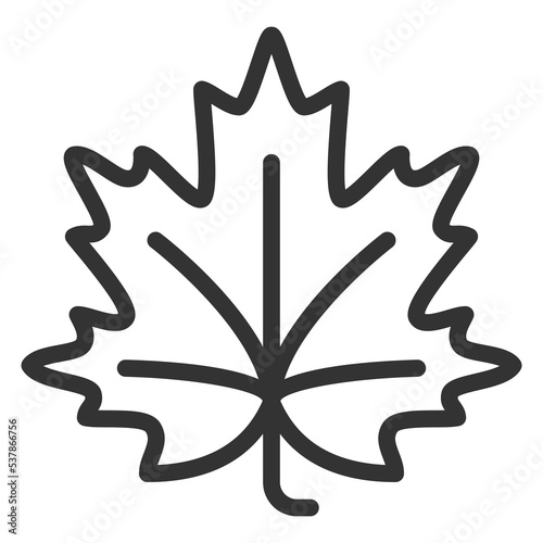 Autumn maple leaf - icon, illustration on white background, outline style