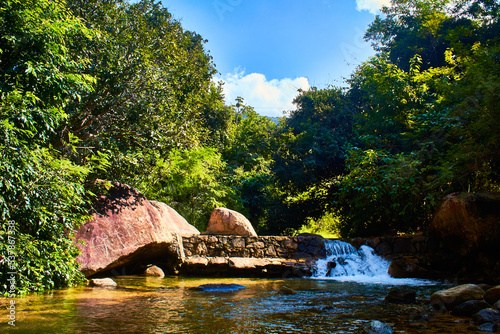beautiful river in sunny day, green forest in puerto vallarta jalisco 