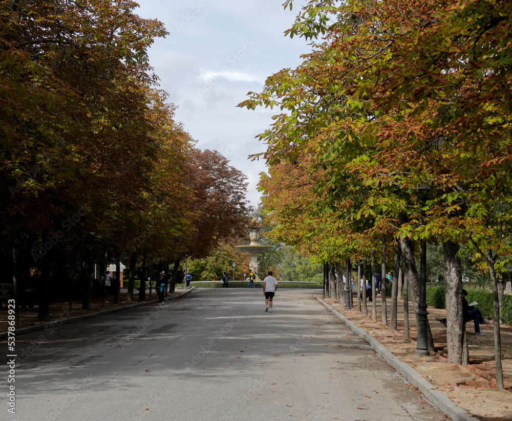 A park in Madrid Spain with beautiful fall colors. A park in Madrid Spain with beautiful fall colors.