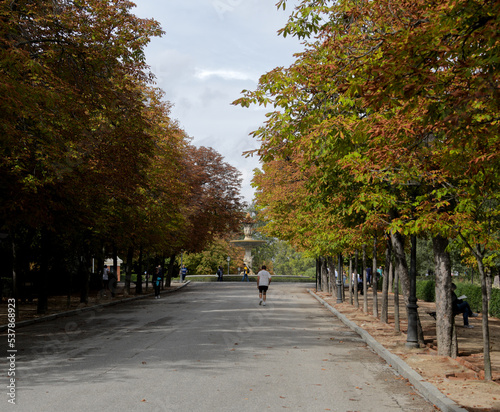 Fototapeta Naklejka Na Ścianę i Meble -  A park in Madrid Spain with beautiful fall colors.